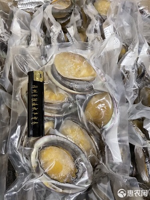 鮮凍鮑魚 社區(qū)團(tuán)購與電商平臺(tái)的新爆款